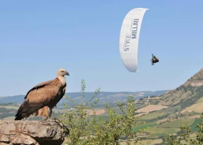 T2 Lumineux Hypercentre Apartmán *