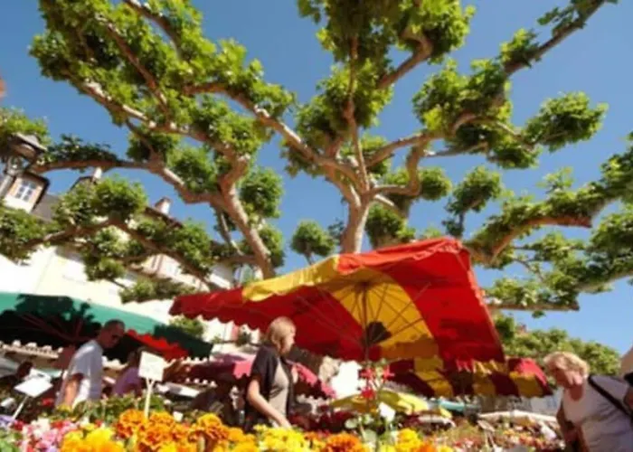 T2 Lumineux Hypercentre Millau